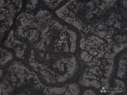 龜紋石