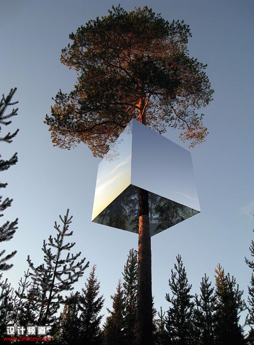 今晚，咱樹上??？-Tree House in Sweden2