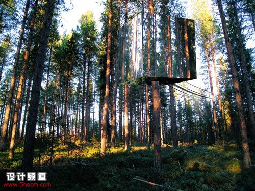 今晚，咱樹上??？-Tree House in Sweden3