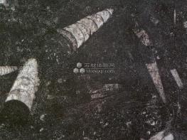 凱撒黑