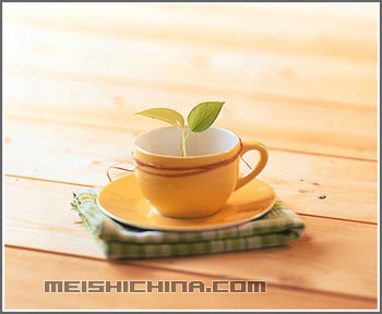 美麗驚人的別致餐具