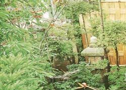 室內(nèi)綠化設(shè)計(jì) 不容錯過的絕妙設(shè)計(jì)技巧