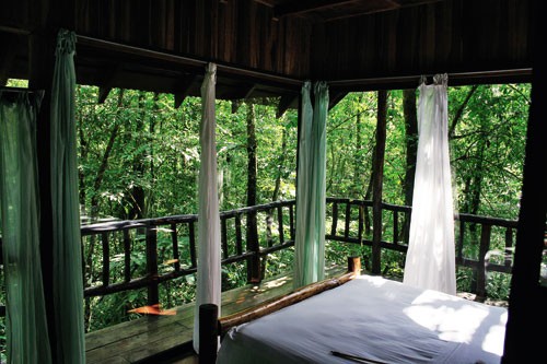 在熱帶雨林安享自然-Tree Houses in Costa Rica 2