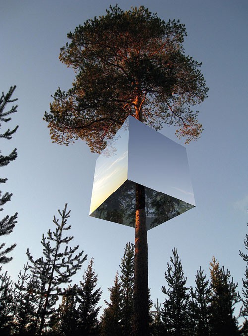 今晚，咱樹上??？-Tree House in Sweden2