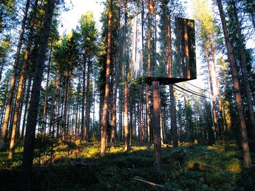 今晚，咱樹上??？-Tree House in Sweden3