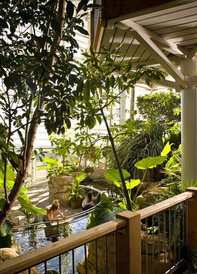 美國(guó)匹茲堡Phi溫室和植物園進(jìn)行擴(kuò)建3