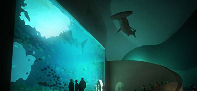 HLA事務(wù)所設(shè)計(jì)格魯吉亞Batumi水族館 3