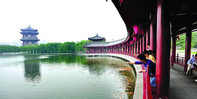 寧夏興唐苑高仿大唐芙蓉園續(xù) 設(shè)計(jì)方:絕對(duì)沒(méi)抄襲1