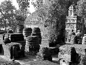 印度在廢墟中重建玄奘取經(jīng)圣地3